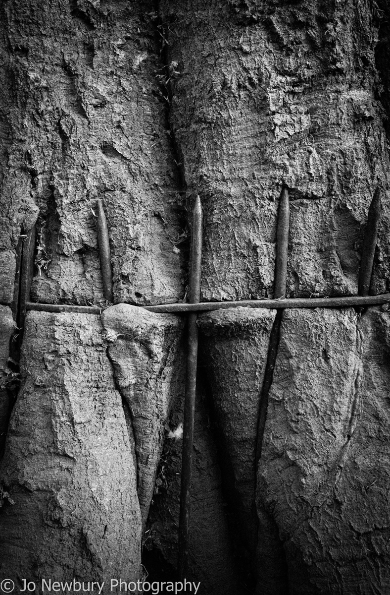 Jo Newbury Photography fineart tree growing around fence